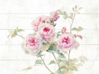 Sweet Roses on Wood | Obraz na stenu