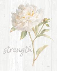 Garden Peony on Wood Strength | Obraz na stenu