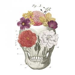 Floral Skull I | Obraz na stenu