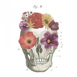 Floral Skull II | Obraz na stenu