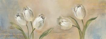 Delicate Blossoms II | Obraz na stenu