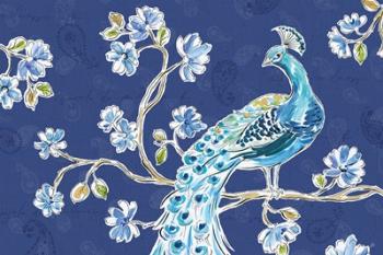 Peacock Allegory II Blue | Obraz na stenu