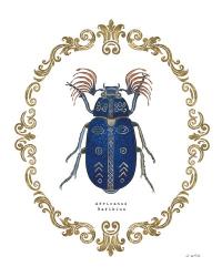 Adorning Coleoptera III | Obraz na stenu