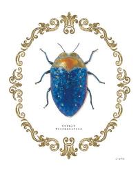 Adorning Coleoptera V | Obraz na stenu