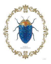 Adorning Coleoptera V | Obraz na stenu