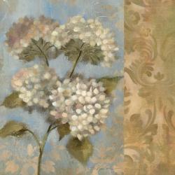 Hydrangea on Soft Blue | Obraz na stenu