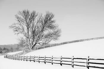 Along the Lane II | Obraz na stenu