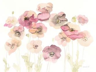 Delicate Poppies | Obraz na stenu