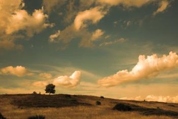 What Beautiful Clouds | Obraz na stenu