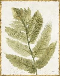 Forest Ferns I Antique | Obraz na stenu
