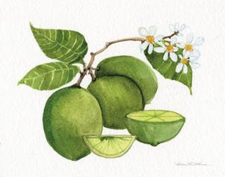 Citrus Garden IV | Obraz na stenu