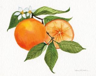 Citrus Garden V | Obraz na stenu