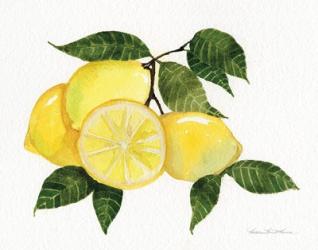 Citrus Garden VI | Obraz na stenu