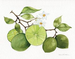 Citrus Garden VII | Obraz na stenu