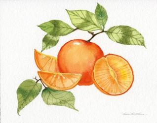 Citrus Garden VIII | Obraz na stenu