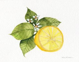 Citrus Garden IX | Obraz na stenu
