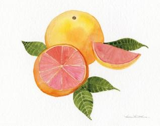 Citrus Garden X | Obraz na stenu