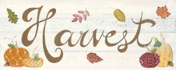 Autumn Bounty III | Obraz na stenu