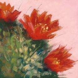 Blooming Succulent IV | Obraz na stenu