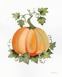 Pumpkin and Vines II | Obraz na stenu