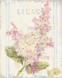 Floursack Florals V | Obraz na stenu