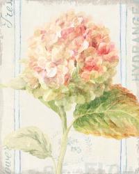 Floursack Florals VI | Obraz na stenu
