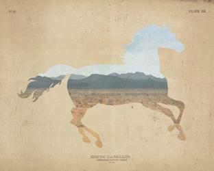 American Southwest Horse Distressed | Obraz na stenu