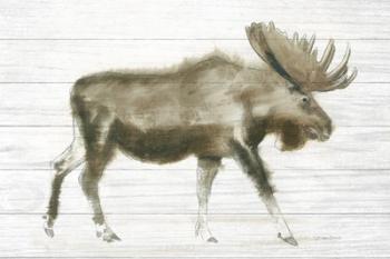 Dark Moose on Wood Crop | Obraz na stenu