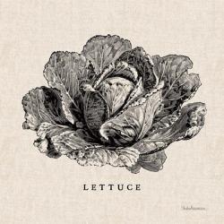 Burlap Vegetable BW Sketch Lettuce | Obraz na stenu