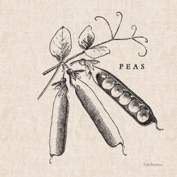 Burlap Vegetable BW Sketch Peas | Obraz na stenu