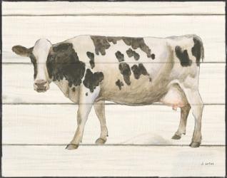 Country Cow VI | Obraz na stenu