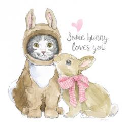 Easter Kitties III | Obraz na stenu