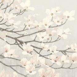 Dogwood Blossoms II Gray | Obraz na stenu