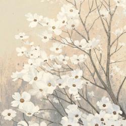 Dogwood Blossoms II Neutral | Obraz na stenu