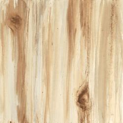 Wood Panel II | Obraz na stenu