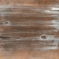 Wood Panel V | Obraz na stenu