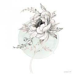 Sketchbook Garden II | Obraz na stenu