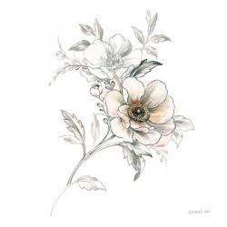 Sketchbook Garden VII | Obraz na stenu