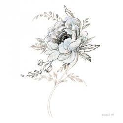 Sketchbook Garden VIII | Obraz na stenu