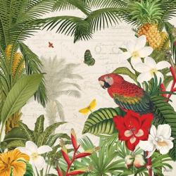 Parrot Paradise III | Obraz na stenu