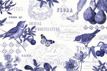 Botanical Blue I | Obraz na stenu