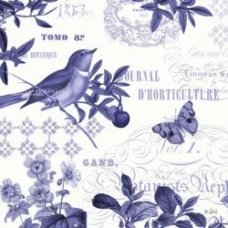 Botanical Blue II | Obraz na stenu