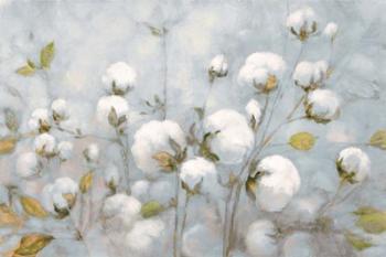 Cotton Field Blue Gray | Obraz na stenu