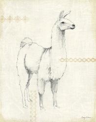 Llama Land XI | Obraz na stenu