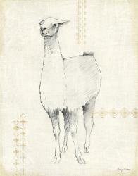 Llama Land XII | Obraz na stenu