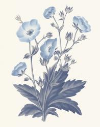 Blue Botanical VI | Obraz na stenu
