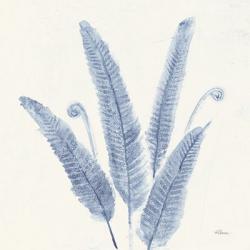 Forest Ferns II v2 Blue | Obraz na stenu