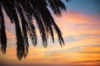 Sunset Palms I | Obraz na stenu