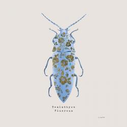 Adorning Coleoptera VIII Sq Blue | Obraz na stenu