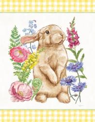 Sunny Bunny III Checker Border | Obraz na stenu